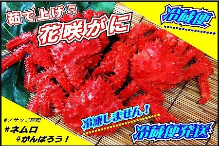 【北海道根室産】花咲がに 4～6尾(計3kg以上)(チルド便発送) D-59033
