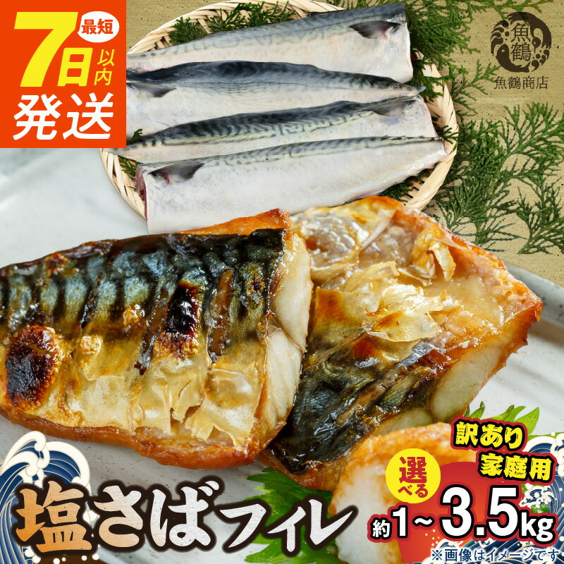 【ふるさと納税】【限定】 《7日以内発送》 《選べる配送月》 訳あり 塩さば フィレ 選べる 1kg ~ 3.5kg 食べやすい 切り身 おかず 時短 タイパ 焼くだけ 簡単 ご家庭用 弁当 切身 アレンジ 水産加工品 さば 魚 魚介 海鮮 海の幸 海産物 魚鶴商店 冷凍 お取り寄せ 送料無料