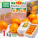 【ふるさと納税】完熟きんかん たまたま1kg 宮崎県 西都市 柑橘 限定 宮崎ブランド完熟きんかん まるかじり