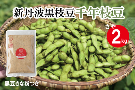 新丹波黒 枝豆 千年枝豆 2kg さや 京都 丹波  京丹波町産 期間限定 生産者限定 国産 こだわり 厳選 黒豆 枝豆 おつまみ きな粉 黒豆きな粉付き [015HY001L]