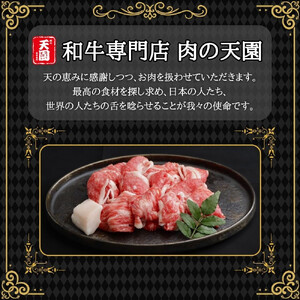 【ふるさと納税】【肉の天園】神戸牛 切り落とし 700g SI06