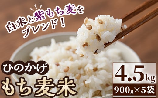 ＜令和7年産 ＞宮崎県日之影町産 もち麦米 (900g×5袋) 数量限定 紫もち麦 ヒノヒカリ 米 精米 国産 小分け 【AF001】【株式会社ひのかげアグリファーム】