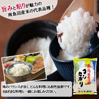 ふるさと納税 南魚沼市 【毎月定期便】南魚沼産コシヒカリ(精米) 5kg全12回 |  | 01