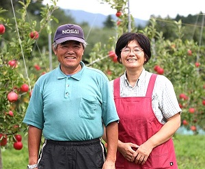 佐々木果樹園 乙部角屋謹製 りんごジャム2個セット