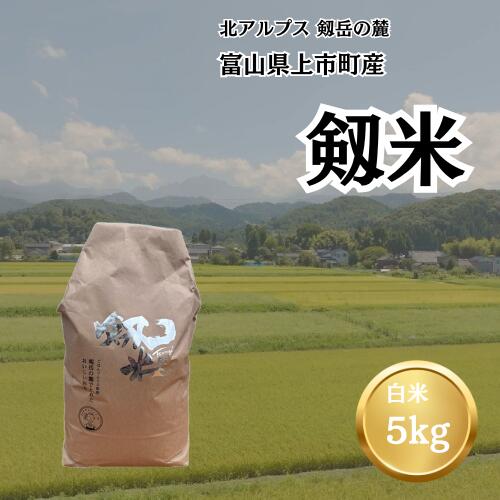【ふるさと納税】【令和7年産】上市町産コシヒカリ「剱米」（白米）5kg　 [ソムリエH 富山県 上市町 32280236-r6-03] 　お米 コメ ご飯 ごはん こしひかり 富山県産