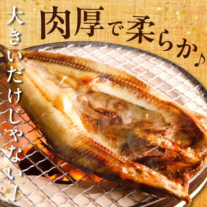 【北海道浜中町産】天日干し真ほっけ開き（大サイズ×3枚）　北海道 浜中町産 天日干し 真ほっけ開き 大サイズ × 3枚 干物 BBQ ギフト グルメ 食品 海鮮 魚介類 海の幸 海産物 加工品 ご飯の