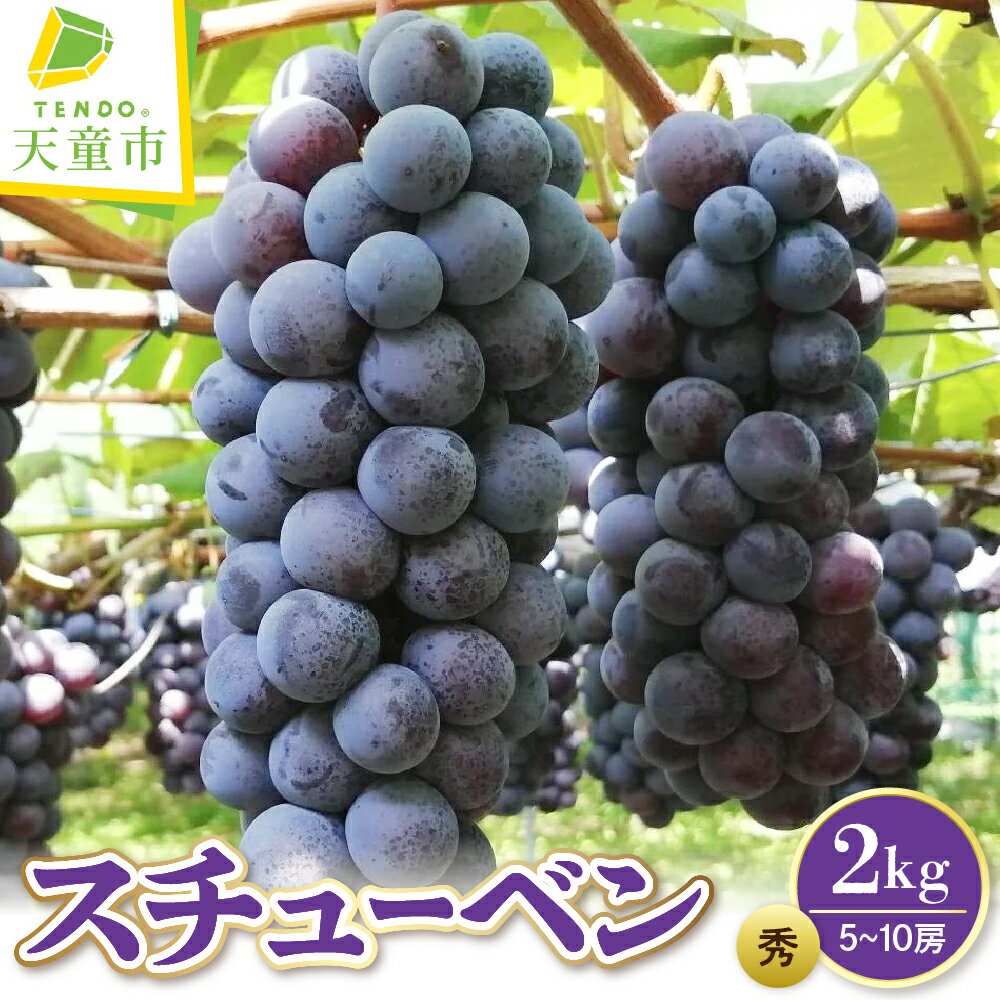 【ふるさと納税】ぶどう（スチューベン）2kg 令和8年産 先行予約 2026年 果物 くだもの 葡萄 ポリフェノール デザート フルーツ 山形 旬 冷蔵 のし 贈答 お取り寄せグルメ 産地直送 送料無料 【 山形県 天童市 】