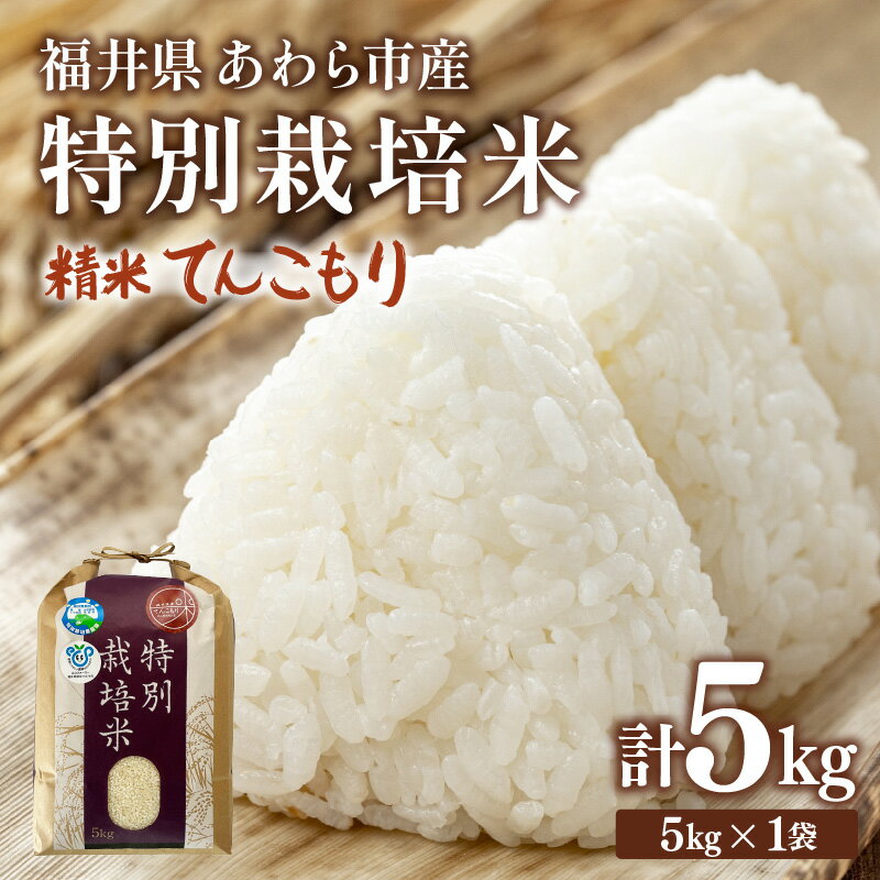 【ふるさと納税】【先行予約】【令和8年産】化学肥料不使用 特別栽培米 てんこもり 精米 5kg / 白米 米 福井県あわら市産 美味しい 特別栽培米 減農薬 安心な米 旨味 甘み もっちり 冷蔵保管米 ※2026年9月下旬以降発送予定