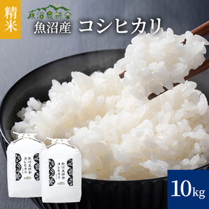 令和7年産 米農家自慢の 魚沼産 コシヒカリ（精米）10kg（5kg×2袋） お米 