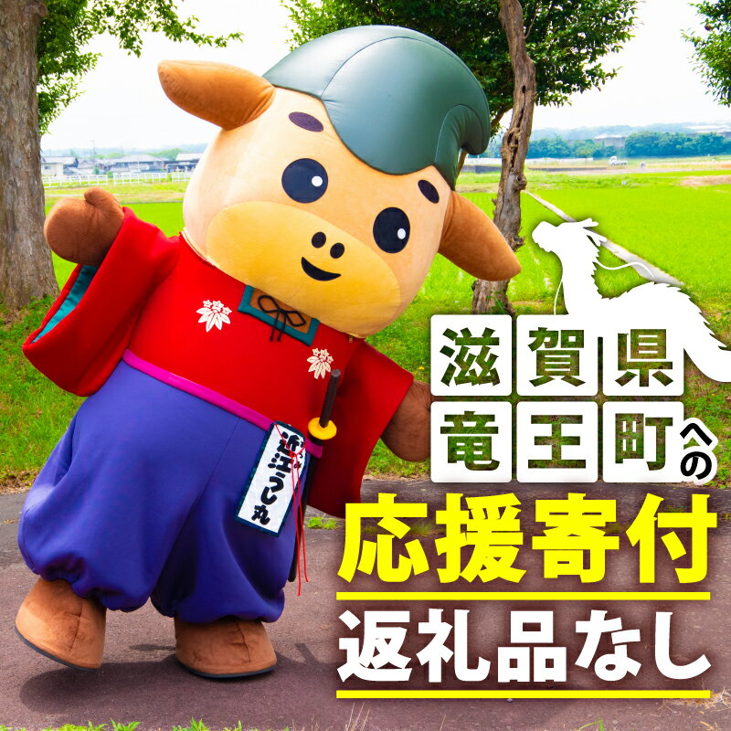 【ふるさと納税】 滋賀県 竜王町 返礼品なしの応援受付 【 返礼品なし / 1,000円 ～ 1,000,000円 】