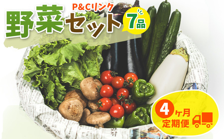 【4ヶ月定期便 】野菜セット 7品 旬野菜詰め合せ季節 旬 春野菜 夏野菜 秋野菜 きのこ 葉物 果物 果菜 根菜 冷蔵 野菜室 ダイエット 食 栄養食 カット野菜 岩手県産 北上産 季節限定 稀少 数量限定 山菜 ブロッコリー たまねぎ さつまいも とうもろこし サラダ トマト しいたけ アスパラガス 松茸 じゃがいも かぼちゃ 白菜 水菜 ミニトマト 枝豆 F0128
