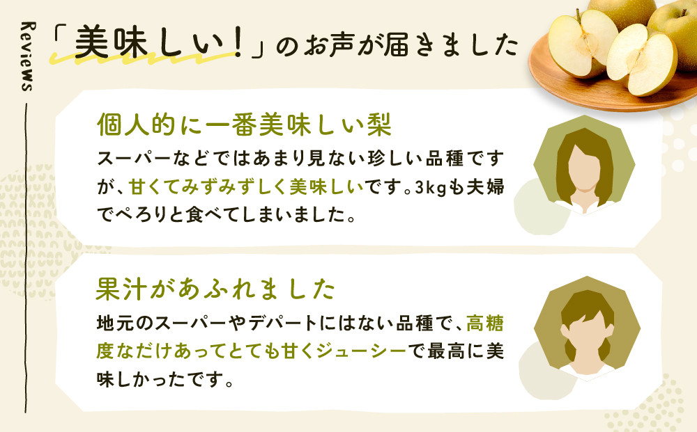 新甘泉梨 3kg箱(約6～10玉)