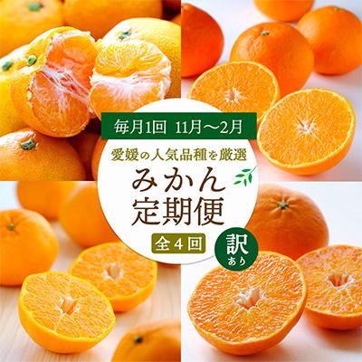ふるさと納税 八幡浜市 【発送月固定定期便】愛媛の人気品種!かんきつ定期便 11月〜2月(訳あり)全4回【H25-155】