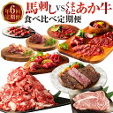 【ふるさと納税】【年6回定期便】馬刺し vs くまもとあか牛 食べ比べ 定期便 全6回 赤牛 あか牛 もも肉 上赤身 パストラミ フタエゴ 切り落とし ロース ラムランプ サーロイン トロ ユッケ 肉 お肉 牛肉 馬肉 定期 定期配送 九州 熊本県 送料無料