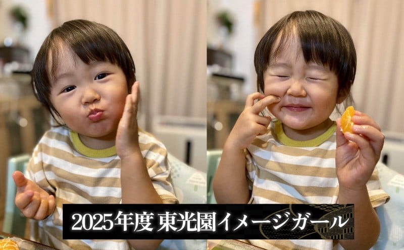小さいお子さんに大人気！