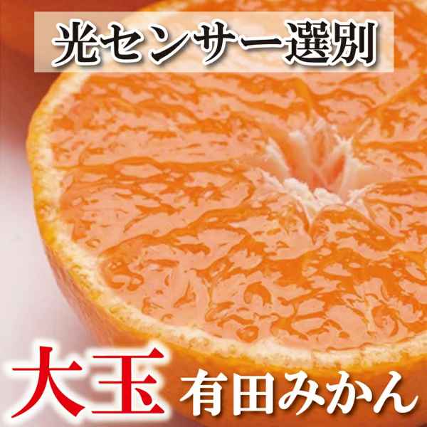 【ふるさと納税】家庭用 大きな有田みかん (2L以上混合) 【先行予約】【光センサー選果】＜2025年11月より順次発送＞/ 厳選 みかん