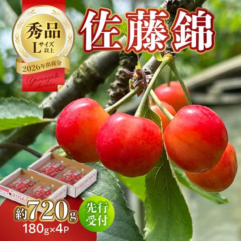 【2026年度先行受付】★さくらんぼ佐藤錦★約720g 秀品 【6月より順次発送予定】 063-011