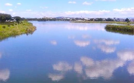 い・ろ・は・す（いろはす）阿蘇の天然水 2L 計12本 水 みず ミネラルウォーター 天然水 ペットボトル 飲料水 飲料
