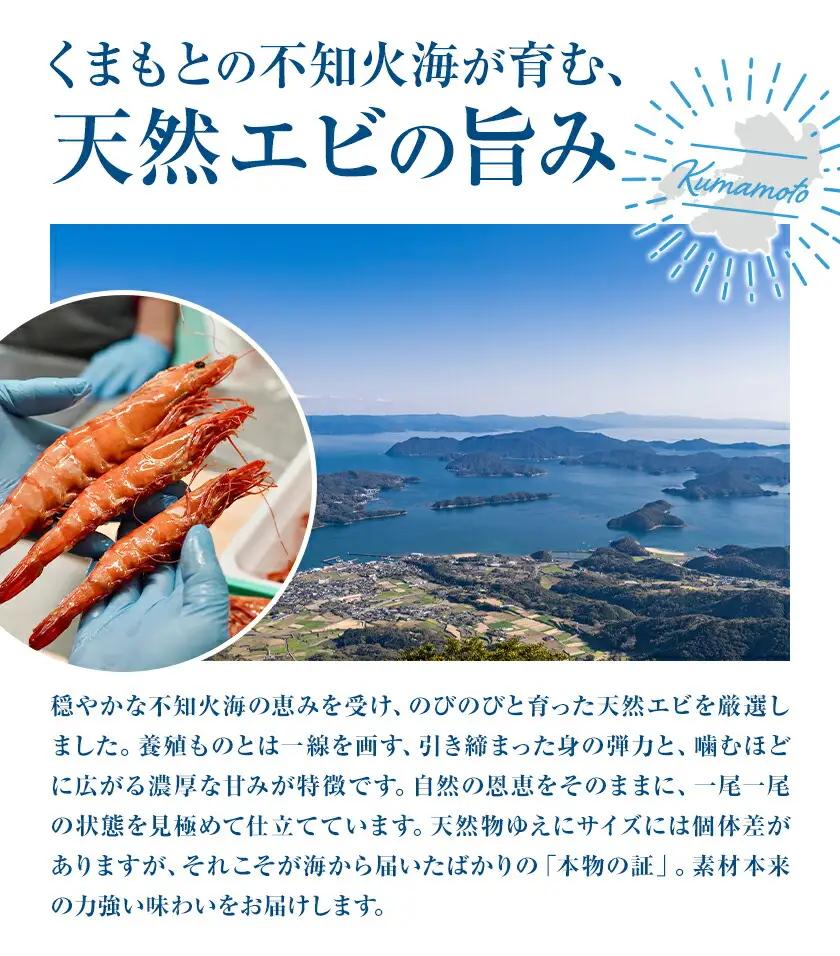 エビの味噌漬け 天然エビ Lサイズ 420g 6-8尾 海老 漁師ばい平国丸《30日以内に出荷予定(土日祝除く)》熊本県 津奈木町 不知火海 魚介 海鮮 海の幸 味噌漬け 加熱済み