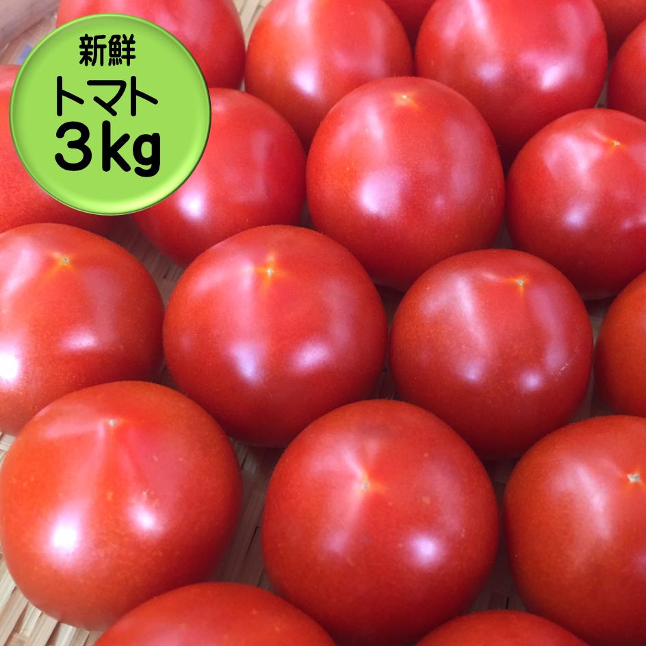 安田町産の新鮮トマト３Kg