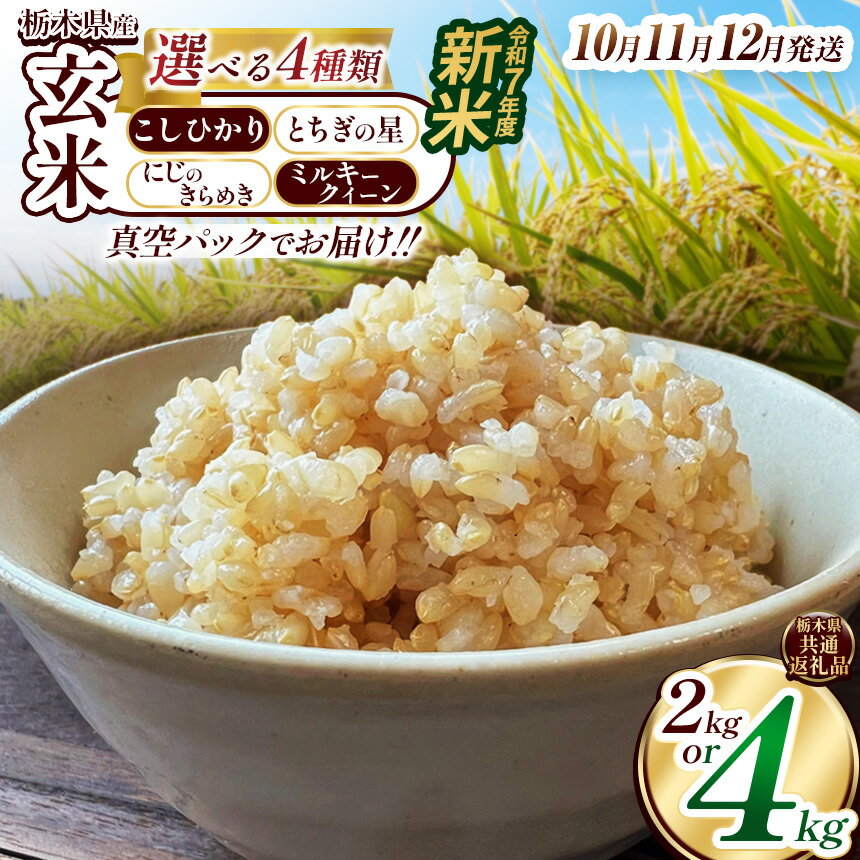 【ふるさと納税】楽天限定 訳あり マラソン 米 お米 新米 こめ コメ こしひかり コシヒカリ とちぎの星 にじのきらめき ミルキークイーン 玄米 不揃い 定期便 | 真空パック 白米 精米 栃木米 令和7年度米 2025年度新米 ブランド米 栃木県共通返礼品 送料無料 栃木県 下野市