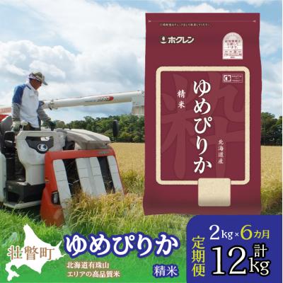 ふるさと納税 壮瞥町 【令和7年産】【 6ヶ月定期配送】(精米2kg)ホクレンゆめぴりか SBTD023