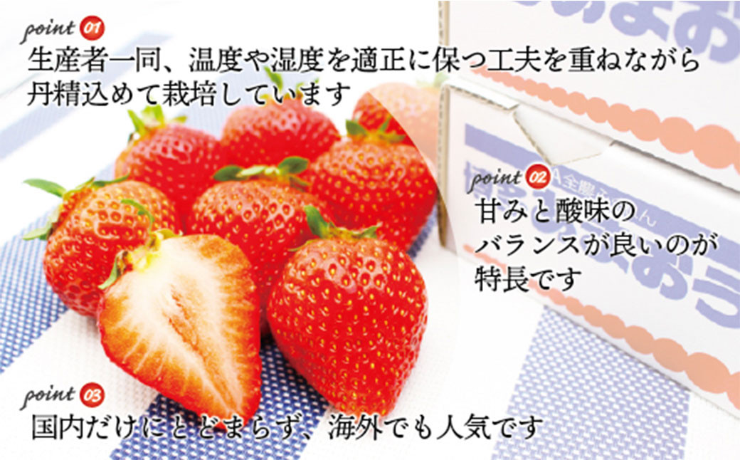 博多あまおう4パック（冬） 250g～270g×4パック 合計約1000g～1080g あまおう いちご 苺 イチゴ フルーツ 果物 くだもの【2026年12月上旬-2027年1月下旬発送予定】