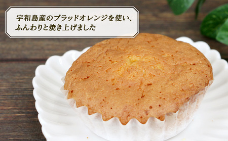 ブラッドオレンジマドレーヌ 12個 寿提夢 ジュテーム  ブラッドオレンジ オレンジ マドレーヌ 卵 焼き菓子 洋菓子 菓子 プレゼント 記念日 おやつ 国産 愛媛 宇和島 J012-097003