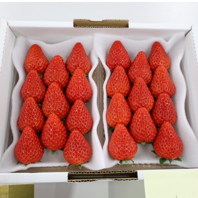 紅ほっぺセット(8パック)【配送不可地域：離島・北海道・沖縄県・四国・九州】【1676931】