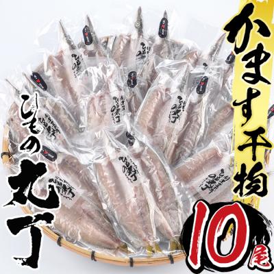ふるさと納税 佐伯市 ギフト用品質!九州産ひものかます開き(10尾)