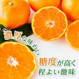 三代目がつくる高品質【頂みかん】2kg【1181949】