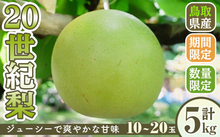 ＜先行予約受付中！9月上旬～11月中旬発送予定＞＜数量限定＞こばやし農園20世紀梨(計5kg・10～20玉) ふるさと納税 境港市 ジューシー 完熟 なし ナシ 果物 くだもの フルーツ 旬 【sm-CK001】【こばやし農園】