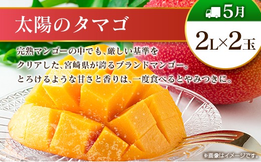 【奇数月 6回定期便】旬 人気 フルーツ 南国宮崎産 太陽のタマゴ ピオーネ いちご みかん メロン マンゴー 柑橘 ぶどう 果物 詰め合わせ 宮崎県 九州＜A-1コース M110＞