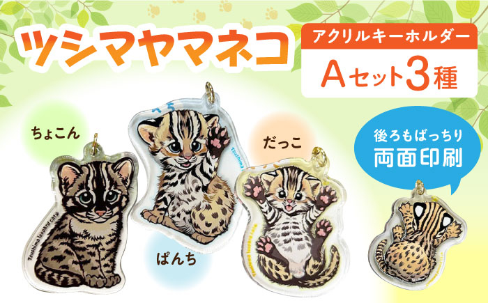 
            対馬 オリジナル ツシマヤマネコ 両面 アクリルキーホルダー Aセット ≪対馬市≫【一般社団法人MIT】  対馬山猫 アクキー お土産 にゃんこ 赤ちゃん [WAP016]
          