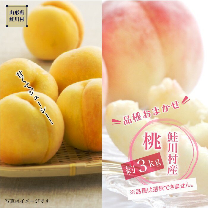 【ふるさと納税】鮭川村産 桃 品種おまかせ 約 3kg