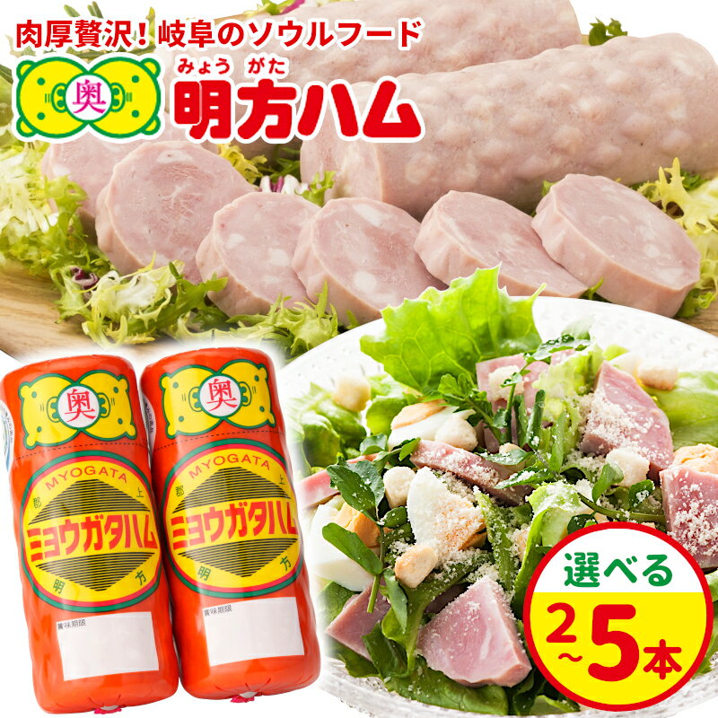 【ふるさと納税】選べる本数 明方ハム 2～5本 国産 豚肉 プレスハム ハム ギフト 贈り物 お祝い 本格ハム ソーセージ ウインナー 高級 人気 詰め合わせ セット 簡単調理 お弁当 朝食 加工肉 JAめぐみの