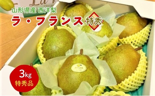 【山形セレクション認定品】西洋梨（ラ・フランス）３ｋｇ　特秀品　0010-2604