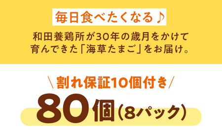 平飼い 海草たまご 8パック（80個入り）割れ保証あり 愛媛県大洲市/和田養鶏所 卵 たまご 鶏卵 卵料理 玉子[AGDQ003]