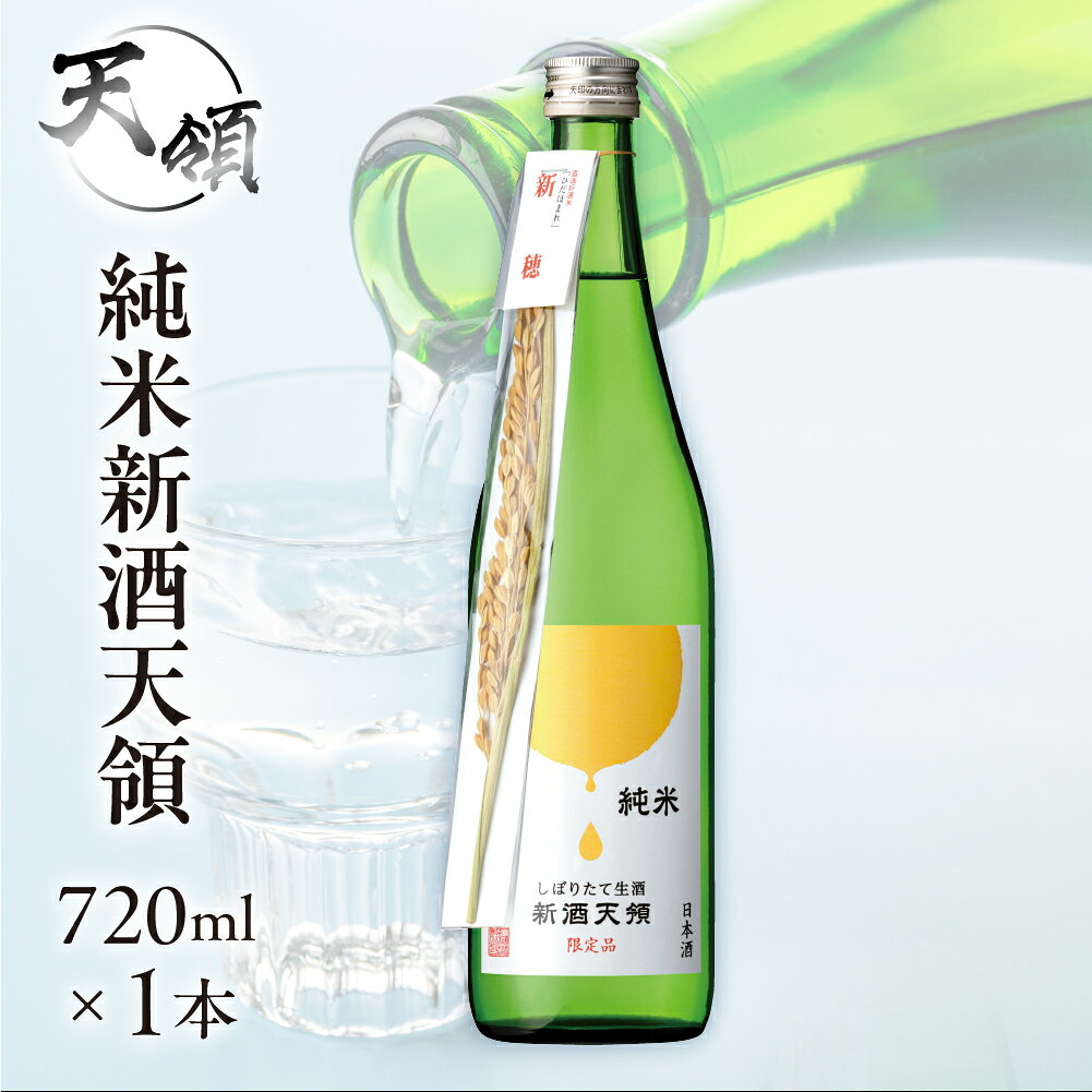 【ふるさと納税】先行予約（2026年11月上旬頃から順次発送）【天領酒造】純米しぼりたて生酒 新酒天領（720ml×1本）お酒 酒 日本酒 下呂市 期間限定 岐阜県