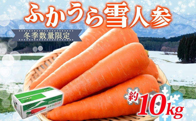 
            【冬季数量限定】ふかうら雪人参 約10kg 人参 にんじん ニンジン ジュース フルーティー 甘い おいしい ブランド 野菜 青森県 深浦町	
          