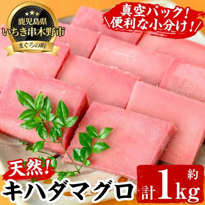 まぐろ！キハダマグロ 約1kg（100g×7-10柵）天然【01-041-01】