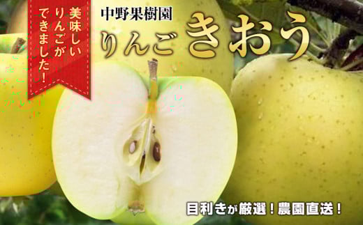中野果樹園のきおう５ｋｇ（１６～２０個入り）