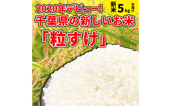 
No.114 東金市産のお米「粒すけ」5kg ／ 白米 精米 千葉県 特産品
