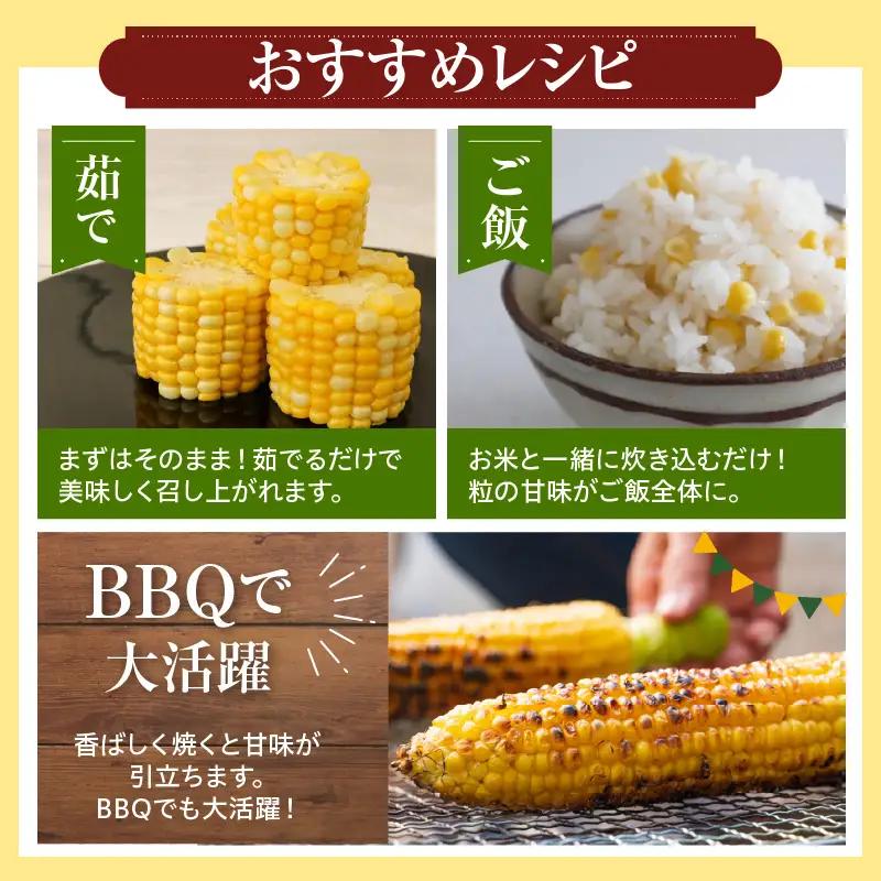 とうもろこし フルーツコーン 13本 令和8年産 とうもろこし