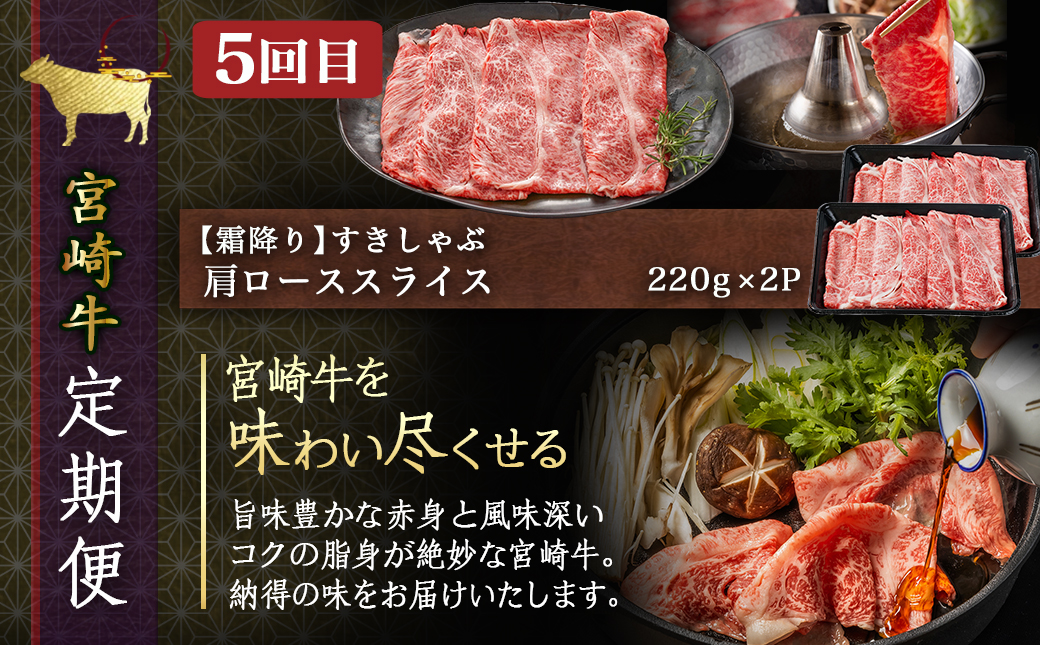 コクと旨味の宮崎牛定期便 L(隔月5回)_T110-5-6501