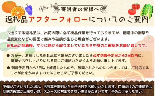 ▼有田みかん 10kg(大玉2L)　※12月上旬〜1月上旬頃順次発送予定 【ymk004-10-2l】