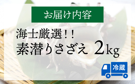 【海士厳選】素潜りさざえ2.0kg／  新鮮 サザエ 生 冷蔵 栄螺 生 さざえ 生 栄螺 ギフト 海鮮 お歳暮 刺身 海鮮 お中元 海産物 おすすめ お取り寄せ グルメ ご褒美 贈答品 誕生日 40