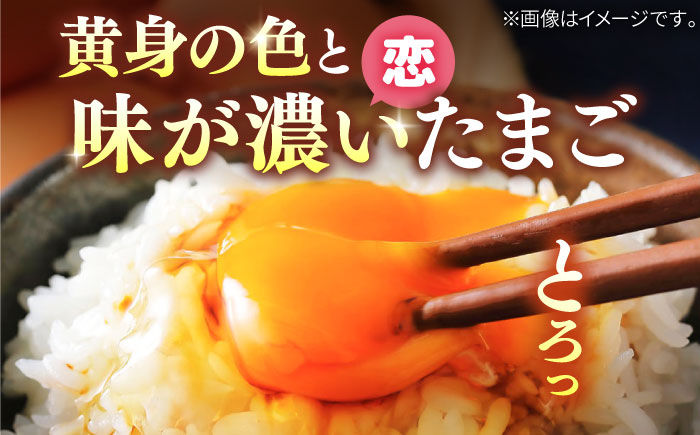 特選素直な恋たまご 卵 60個入り ギフト [JAP001] 卵 60個 たまご 鶏卵 玉子 60個 ギフト 国産 もみじ 卵かけご飯 たまごかけご飯 すき焼き 11000 11000円