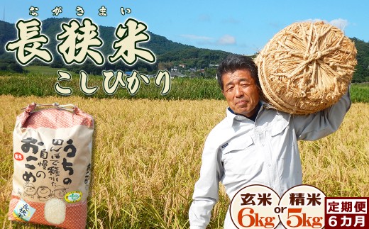【令和８年産 新米 先行予約】ちばエコ農産物『長狭米 コシヒカリ（一等米）』定期便６カ月【玄米６kg】《９月中旬より発送開始》《数量限定》減農薬 減化学肥料 農家直送 玄米 白米 熟成精米 [田代農園][0090-0010]