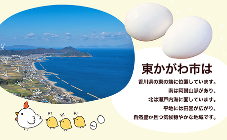 東かがわ市のたまご「鶏卵Mサイズ（10個×3P）」 新鮮卵 卵料理 食材 料理 調理 グルメ 玉子かけご飯 TKG 